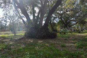 1449 Overlea St in Clearwater, FL - Building Photo - Building Photo