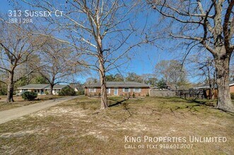 313 Sussex Ct in Wilmington, NC - Building Photo - Building Photo