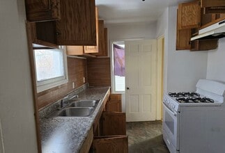 20144 Stoepel St in Detroit, MI - Foto de edificio - Building Photo