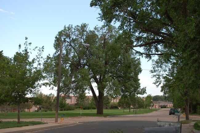 2220 Cooper Ave, Unit 2220 in Colorado Springs, CO - Foto de edificio - Building Photo