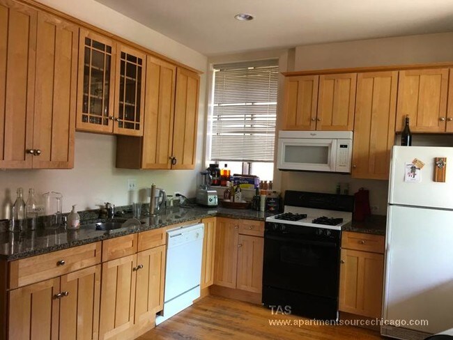 1043 W Webster Ave in Chicago, IL - Building Photo - Building Photo