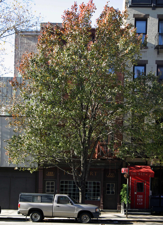 225 Tenth Ave in New York, NY - Building Photo