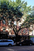 158 5th Ave Apartments