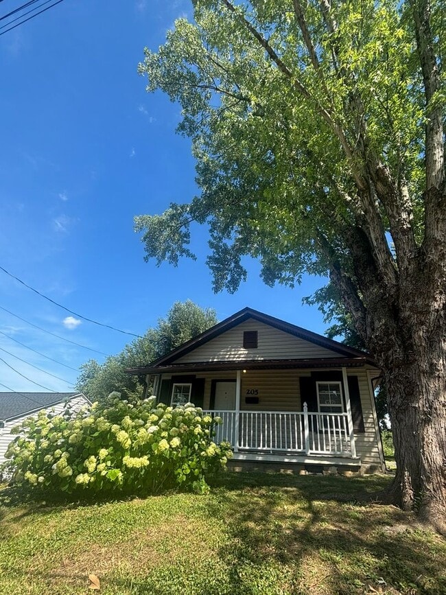 property at 205 W 10th Ave