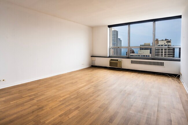 70 W Burton Pl in Chicago, IL - Building Photo - Building Photo