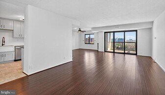 307 Yoakum Pkwy in Alexandria, VA - Building Photo