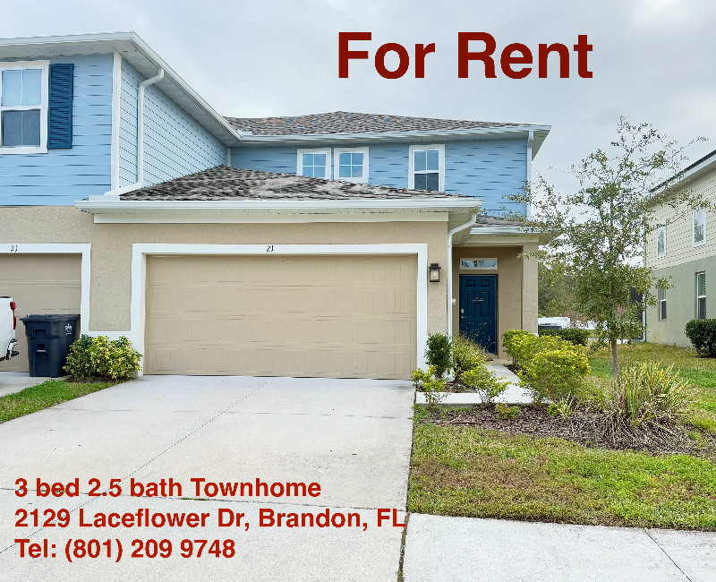 2129 Laceflower Dr in Brandon, FL - Building Photo