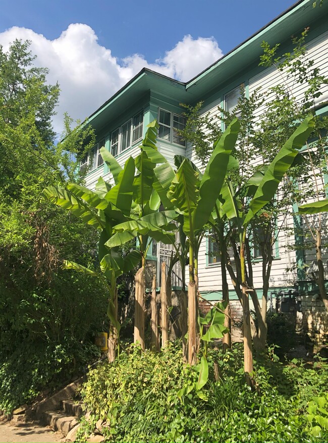 property at 841 Vedado Way NE