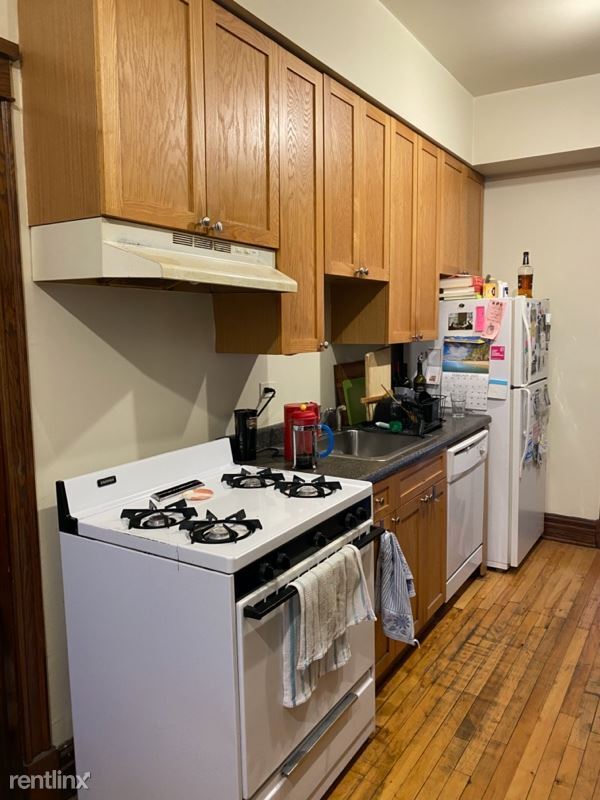 903 N Leavitt St in Chicago, IL - Building Photo - Building Photo