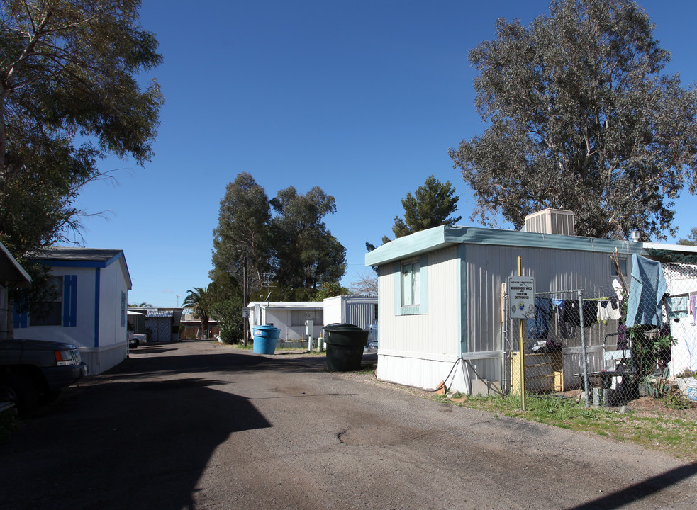 Shady Haven in Tucson, AZ - Building Photo