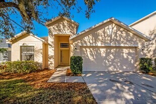10620 Shady Preserve Dr in Riverview, FL - Building Photo