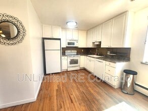 925 E 8th Ave in Denver, CO - Building Photo - Building Photo