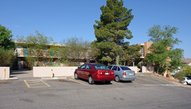 1617 Randolph Dr in El Paso, TX - Building Photo - Building Photo