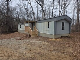 695 Barren Hollow Rd in Hurricane Mills, TN - Building Photo