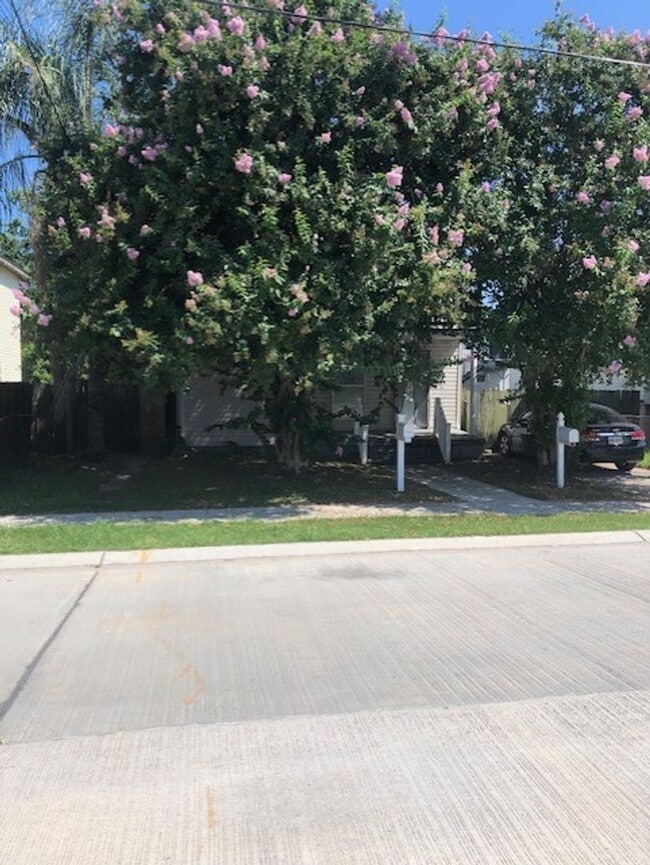 2665 Abundance St in New Orleans, LA - Building Photo - Building Photo