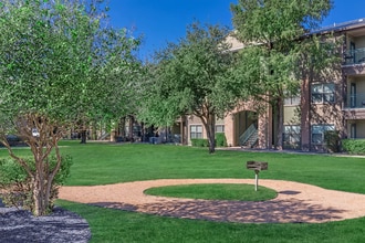 San Pedro Apartments in Mission, TX - Building Photo - Building Photo