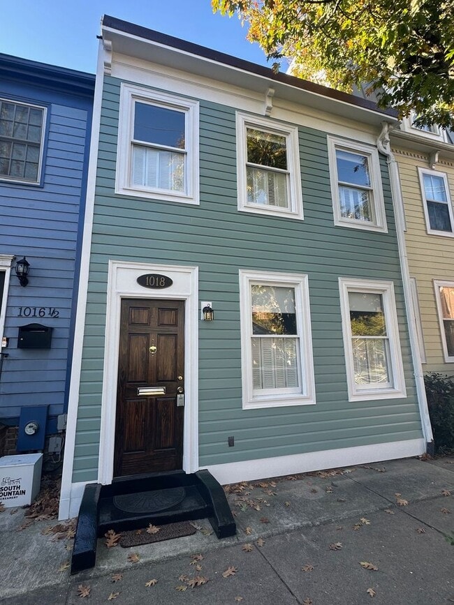 property at 1018 Oronoco St