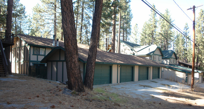 733 Summit Blvd in Big Bear Lake, CA - Foto de edificio - Building Photo