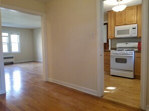 86 Lincoln Ave-Unit -1W in Riverside, IL - Building Photo - Building Photo