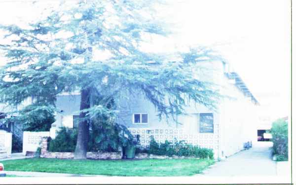 10834-10840 Bloomfield St in North Hollywood, CA - Foto de edificio - Building Photo