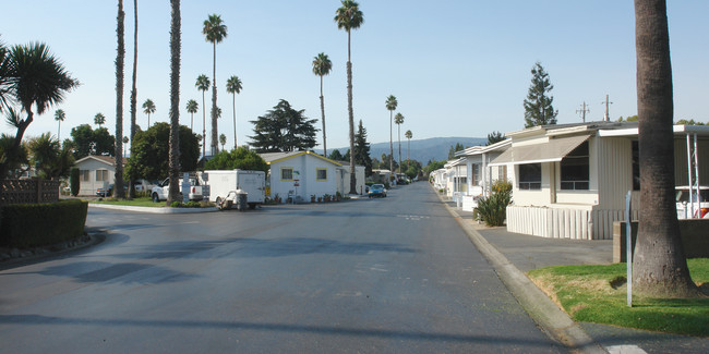 191 E El Camino Real in Mountain View, CA - Building Photo - Building Photo