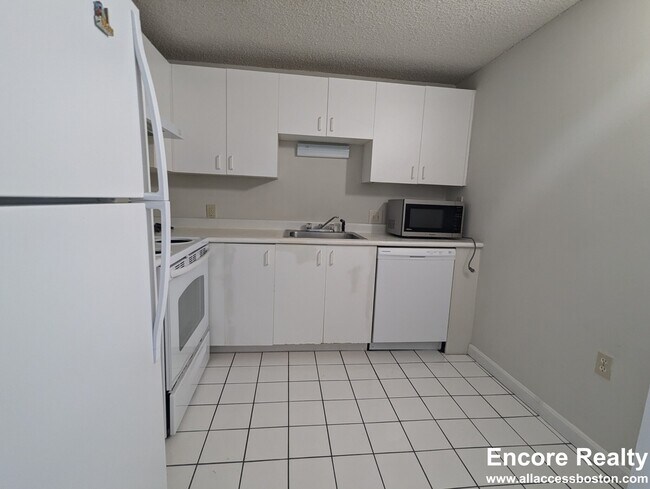 16 Elmer St, Unit 203 in Cambridge, MA - Foto de edificio - Building Photo