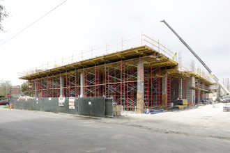 Taylor Street Apartments in Chicago, IL - Building Photo - Building Photo