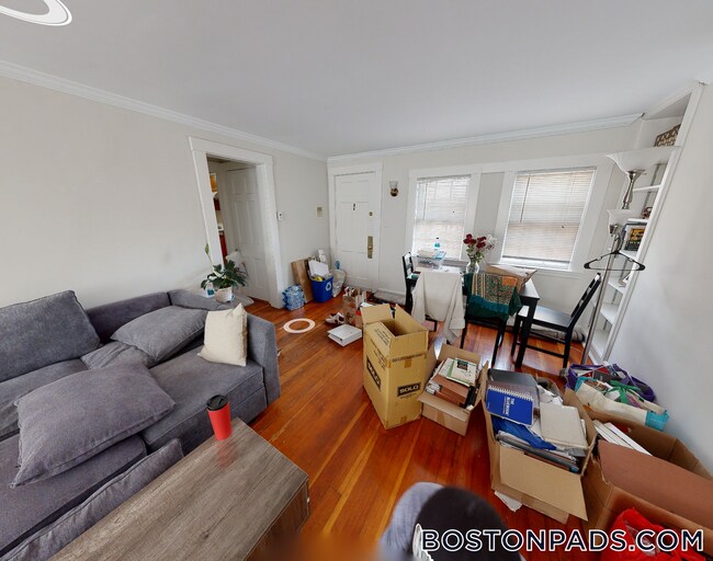 38 Gibson St in Cambridge, MA - Building Photo - Building Photo