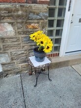 7712 Watson St in Philadelphia, PA - Building Photo - Building Photo