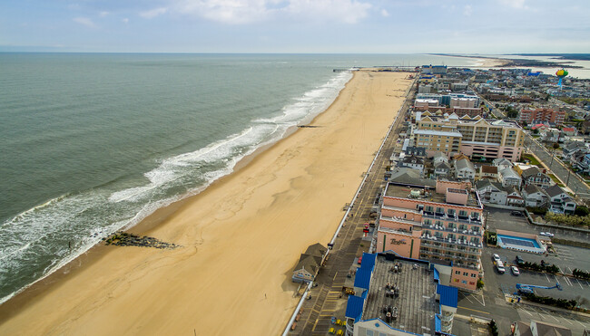 1003 Atlantic Ave in Ocean City, MD - Building Photo - Building Photo