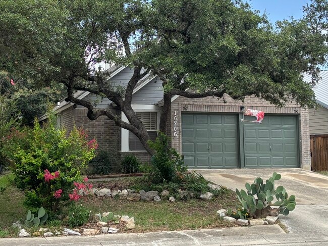 property at 16706 Cedar Tree Way