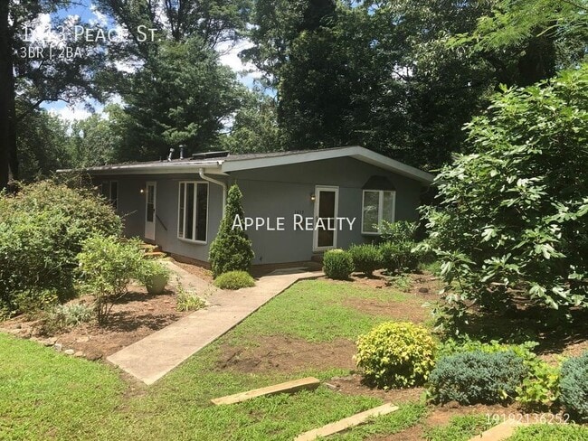 property at 1613 Peace St
