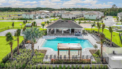 3669 Copper Beech Dr in Land O Lakes, FL - Building Photo - Building Photo