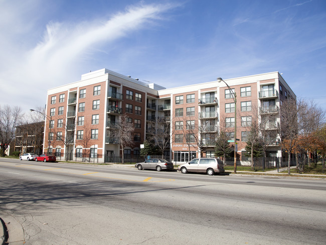 Auburn Commons in Chicago, IL - Foto de edificio - Building Photo