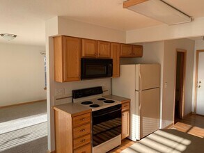 991 Winona Cir in Loveland, CO - Building Photo - Building Photo