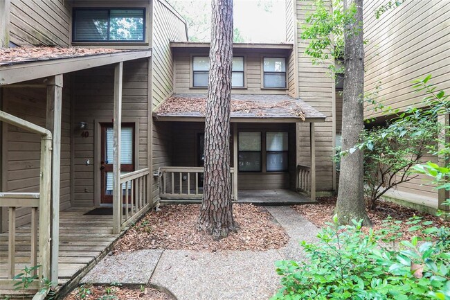 42 Cokeberry Ct in Spring, TX - Building Photo - Building Photo