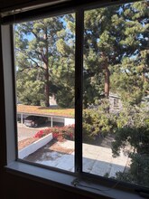 23 N Ellsworth Ave in San Mateo, CA - Building Photo - Building Photo