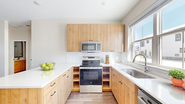 Sandhill Parkway Townhomes in East Bethel, MN - Building Photo - Building Photo