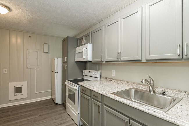 303 S Magnolia St in Maryville, TN - Building Photo - Building Photo