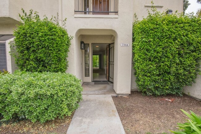property at 7314 Paseo Verde