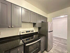 3825 N Pine Grove Ave in Chicago, IL - Building Photo - Building Photo