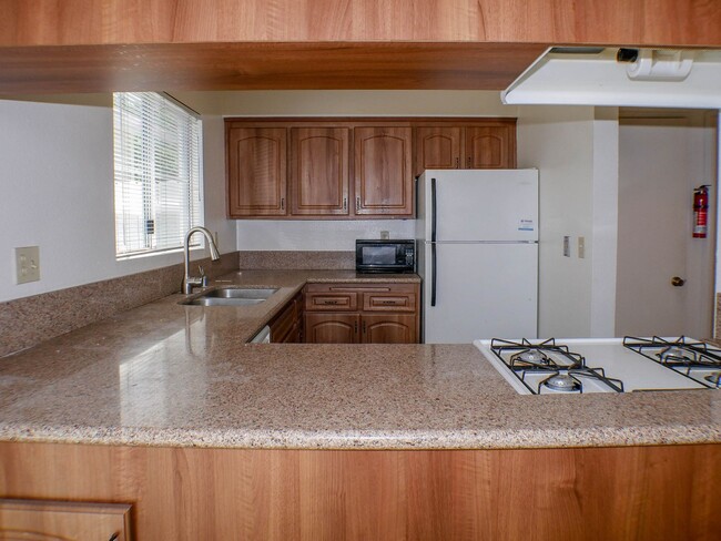 property at 2146 Catalina Blvd