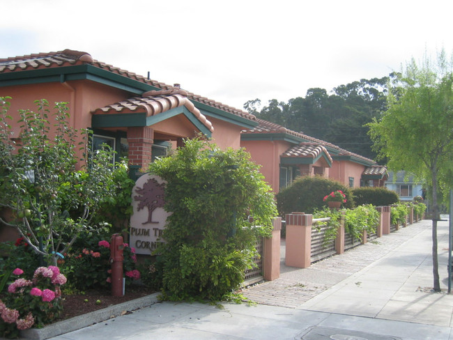 Plum Tree Court in Half Moon Bay, CA - Building Photo - Other