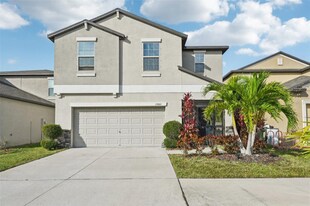 15461 Broad Brush Dr in Sun City Center, FL - Building Photo