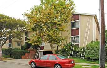 3344 S. Canfield Ave in Los Angeles, CA - Foto de edificio - Building Photo