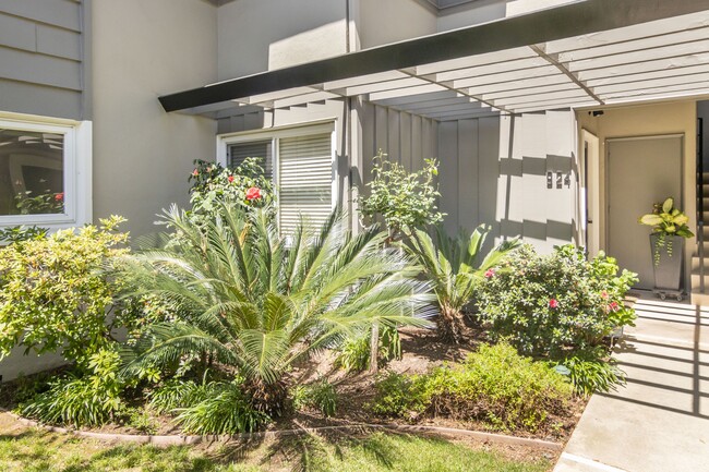 924 S Orange Grove Blvd in Pasadena, CA - Building Photo - Building Photo