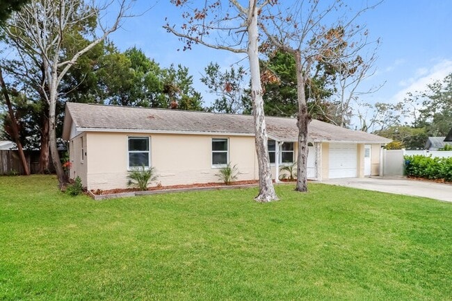 3107 Birch Ct in Dunedin, FL - Building Photo - Building Photo