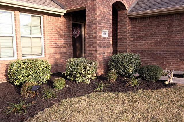 1405 Villa Paloma Blvd in Little Elm, TX - Building Photo - Building Photo