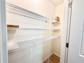 15541 Black Pepper Ln in Odessa, FL - Building Photo - Building Photo