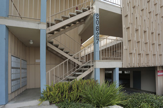 Amie Apartments in Torrance, CA - Building Photo - Building Photo